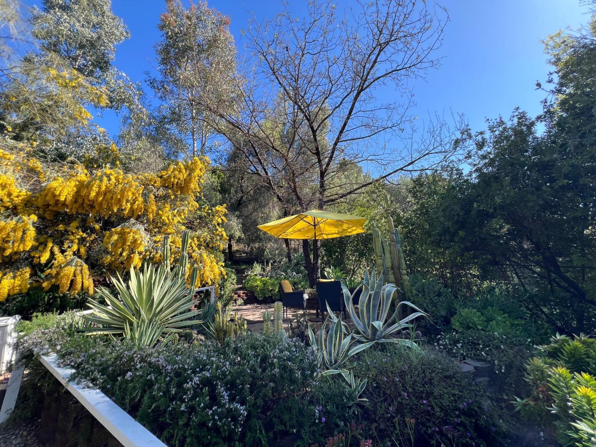 Villa La Reforma - Newly Designed 4Br House & Pool In Los Angeles By Topanga Exterior photo